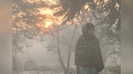 MP में रिकॉर्ड तोड़ पड़ रही सर्दी, रात का पारा 4 डिग्री से भी नीचे, आज भी कोल्ड वेव का रहेगा असर