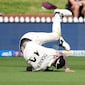New Zealand Pacer Suffers Nasty Shoulder Injury, Taken To Hospital During 2nd Test vs WI
