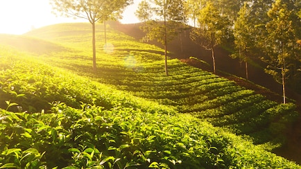 Kerala Joins World's Top 26 Destinations For 2026: Report