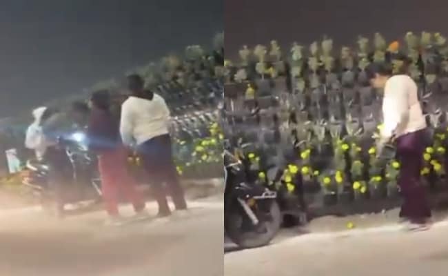 The Art of Baking: From Classic Bread to Artisan Pastries