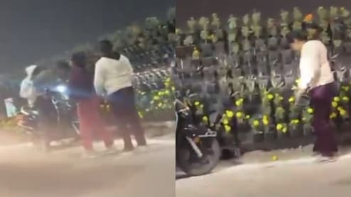Video: Lucknow Residents Steal Flower Pots Placed On Roadside For PM Modi's Event