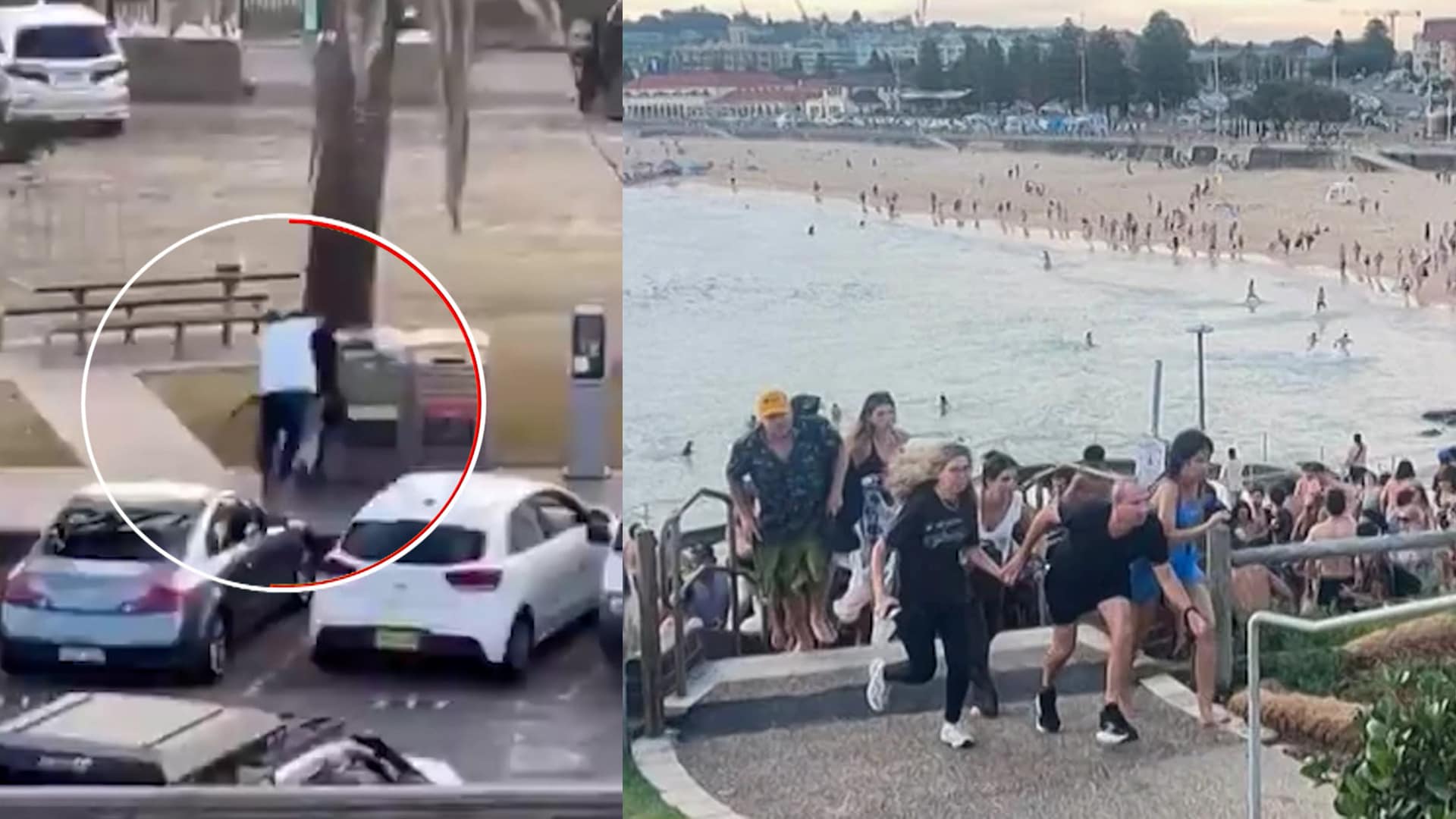 15 Killed In Mass Shooting At Australia's Bondi Beach During Jewish Festival