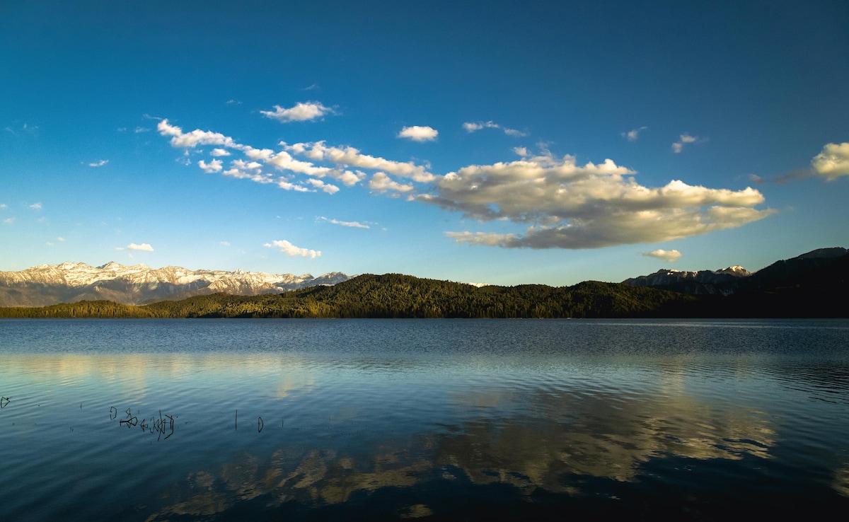 Latest and Breaking News on NDTV Latest and Breaking News on NDTV