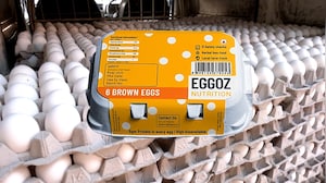 Eggoz Controversy: FSSAI Says Eggs Safe, No Cause For Panic