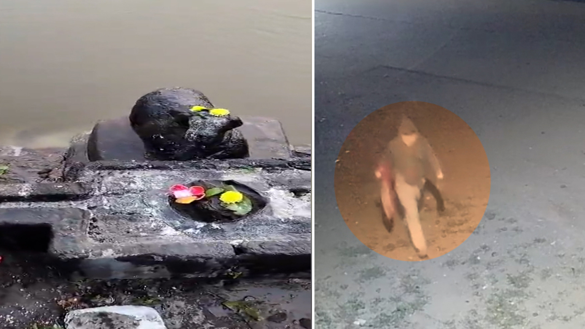 Temple Desecration In Andhra Pradesh, Suspect Caught On CCTV