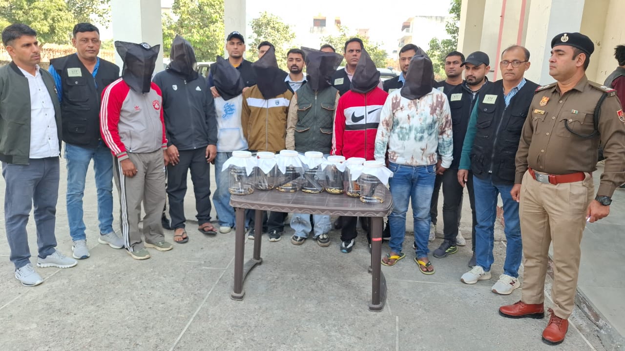 दिल्ली-एनसीआर से लेकर पंजाब तक थी दहशत! रोहित गोदारा गैंग के शार्प शूटर STF ने कुछ यूं किया गिरफ्तार