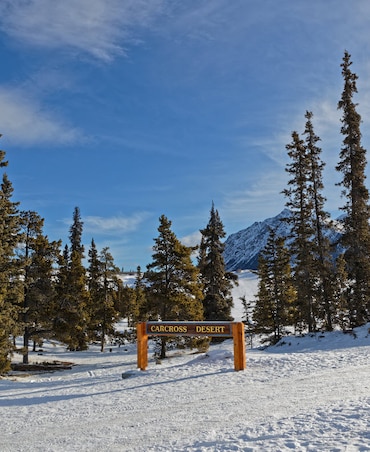 What's The World's Smallest Desert
