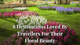 8 Destinations Loved By Travellers For Their Floral Beauty