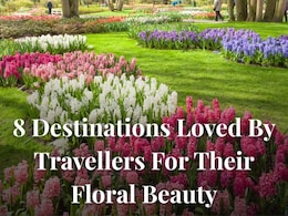 8 Destinations Loved By Travellers For Their Floral Beauty