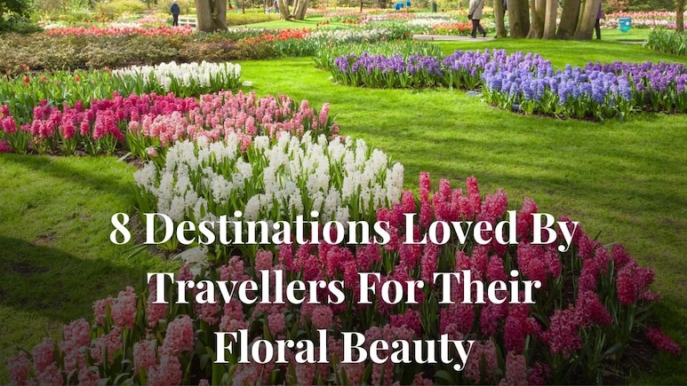8 Destinations Loved By Travellers For Their Floral Beauty