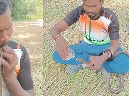 करंट से झटका खाकर बेहोश हुआ सांप, शख्स ने मुंह से सांस देकर बचा ली जान, देखें VIDEO