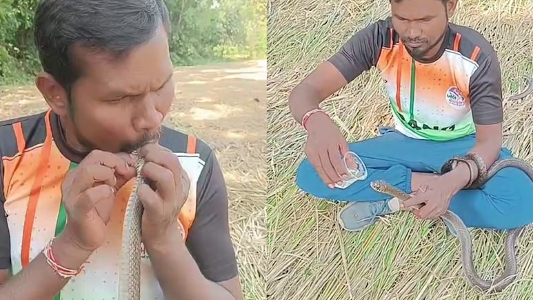 करंट से झटका खाकर बेहोश हुआ सांप, शख्स ने मुंह से सांस देकर बचा ली जान, देखें VIDEO