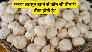 7 दिनों तक खाली पेट लहसुन खाने से क्या होता है? लहसुन की तासीर कैसी होती है?