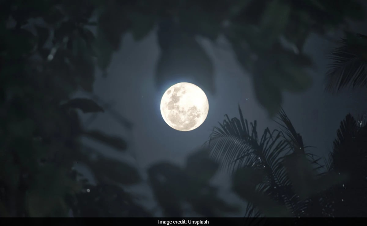 Wolf Moon 2026: Know How And When To Witness The Supermoon