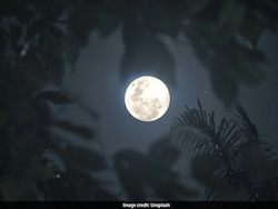 Wolf Moon 2026: Know How And When To Witness The Supermoon