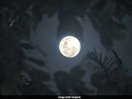 Wolf Moon 2026: Know How And When To Witness The Supermoon