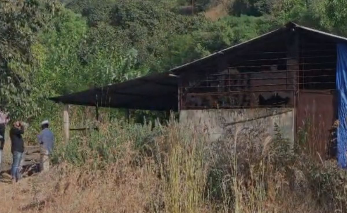 Shiv Sena Leader Under Scanner After Maharashtra Drug Bust, Congress Reacts