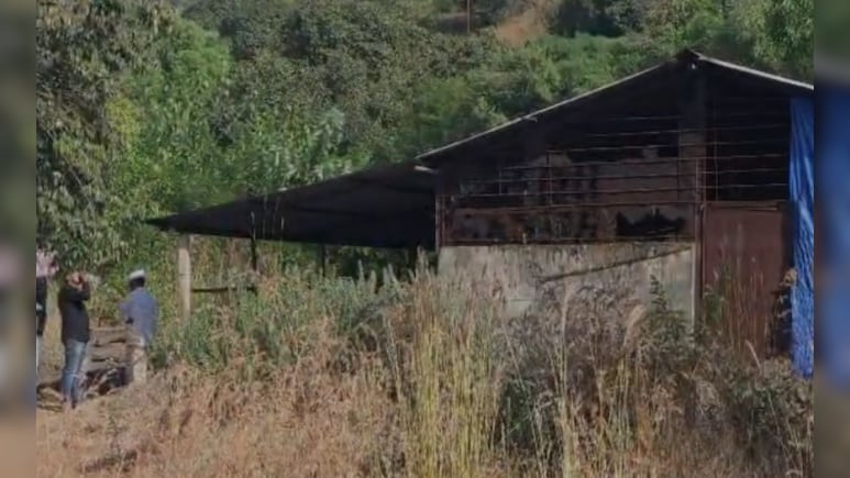 Shiv Sena Leader Under Scanner After Maharashtra Drug Bust, Congress Reacts