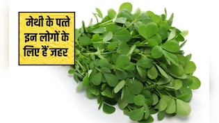 मेथी खाने से मोटापा कम होता है? मेथी के पत्ते इन लोगों के ल&zwj;िए हैं जहर समान, खाने से कर लें तौबा