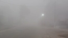 MP Weather Update: 22 जिलों में घना कोहरा और कड़ाके की ठंड, 50 मीटर विजिबिलिटी से थमी रफ्तार, कल से और बढ़ेगी आफत