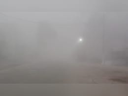 MP Weather Update: 22 जिलों में घना कोहरा और कड़ाके की ठंड, 50 मीटर विजिबिलिटी से थमी रफ्तार, कल से और बढ़ेगी आफत