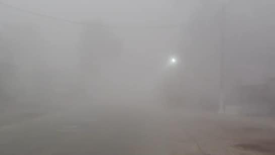 MP Weather Update: 22 जिलों में घना कोहरा और कड़ाके की ठंड, 50 मीटर विजिबिलिटी से थमी रफ्तार, कल से और बढ़ेगी आफत | MP Weather Update Dense Fog Alert in 22