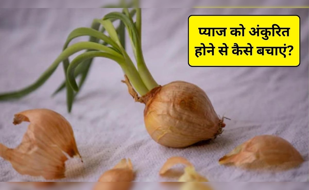 Story image
