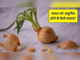 प्याज को अंकुरित होने से कैसे बचाएं? प्याज को कैसे करें स्टोर ताकि खराब न हो, यहां जानिए जबरदस्त उपाय