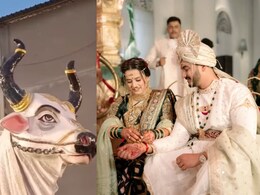 VIDEO: 'रिसेप्शन आहे की सर्कस?' प्राजक्ता गायकवाडवर नेटकरी संतापले, 'ती' गोष्ट खटकली