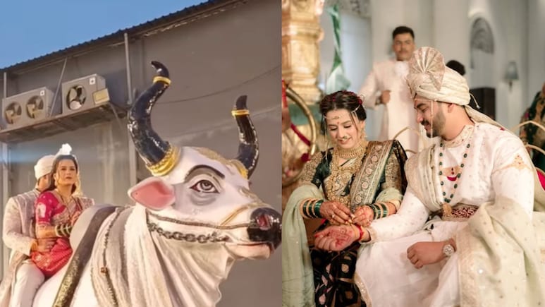 VIDEO: 'रिसेप्शन आहे की सर्कस?' प्राजक्ता गायकवाडवर नेटकरी संतापले, 'ती' गोष्ट खटकली