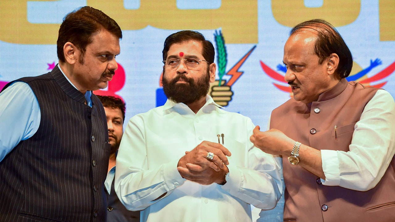 Maharashtra Local Body Elections: Mahayuti Sweeps Municipal Polls