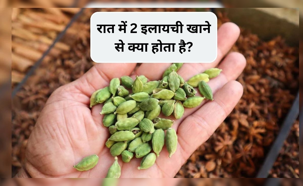 इलायची गर्म होती है या ठंडी, रात को सोने से पहले दो इलायची खाने से क्या होता है? न्यूट्रिशनिस्ट से जानिए फायदे