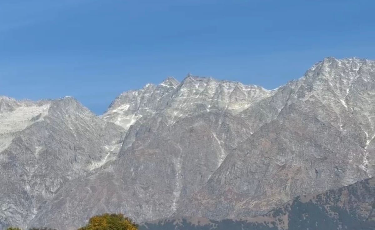 Latest and Breaking News on NDTV Latest and Breaking News on NDTV