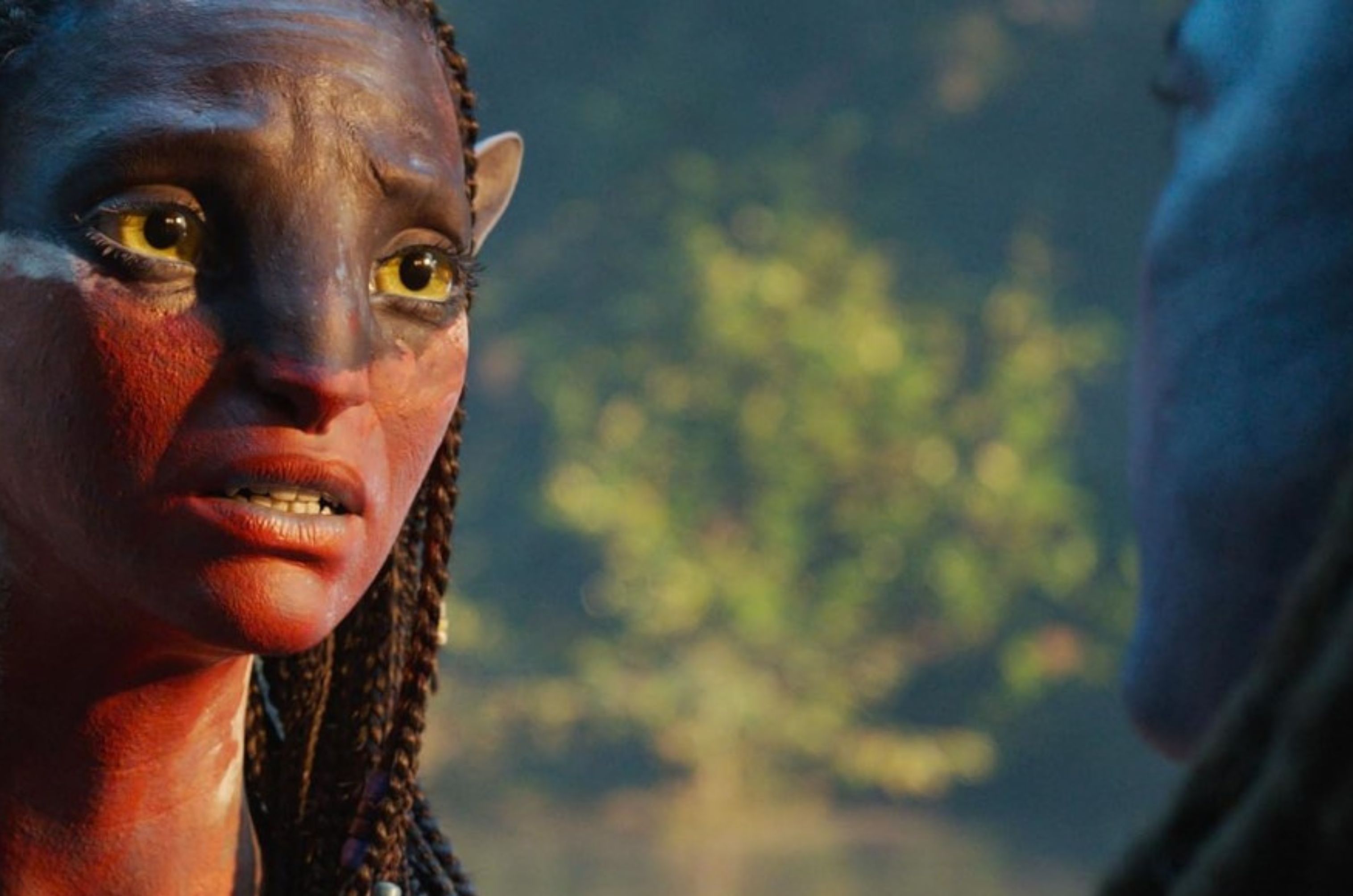 Avatar 3 box office collection: अवतार 3 मंडे टेस्ट में हुई पास, भारत में 100 करोड़ का आंकड़ा किया पार