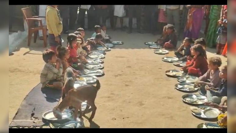 बच्चों के साथ बकरियां खा रहीं मध्यान्ह भोजन! आंगनबाड़ी व्यवस्था की बदहाली हुई उजागर, ग्रामीणों में रोष  