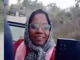 पन्ना टाइगर रिजर्व: अचानक दो बाघों के बीच फंसी कलेक्टर की जिप्सी, फिर हुआ कुछ यूं ... वीडियो होने लगा वायरल