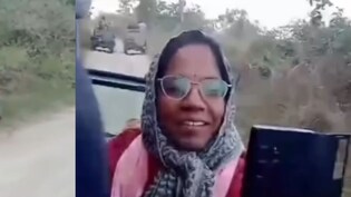 पन्ना टाइगर रिजर्व: अचानक दो बाघों के बीच फंसी कलेक्टर की जिप्सी, फिर हुआ कुछ यूं ... वीडियो होने लगा वायरल