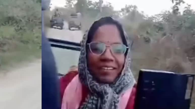 पन्ना टाइगर रिजर्व: अचानक दो बाघों के बीच फंसी कलेक्टर की जिप्सी, फिर हुआ कुछ यूं ... वीडियो होने लगा वायरल