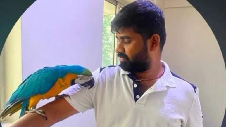 Bengaluru Man Electrocuted While Trying To Save Pet Parrot Worth 2.5 Lakhs