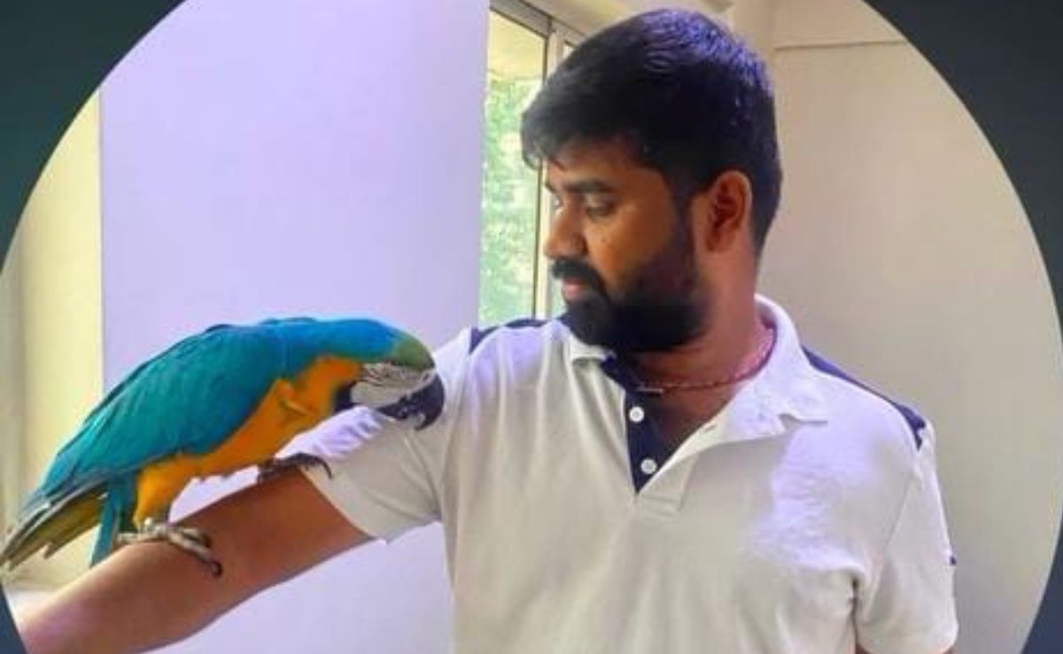 Bengaluru Man Electrocuted While Trying To Save Pet Parrot Worth 2.5 Lakhs