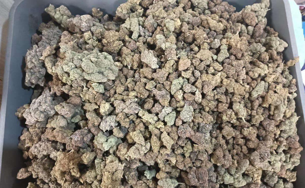 Latest and Breaking News on NDTV Latest and Breaking News on NDTV