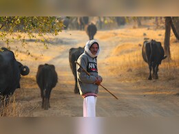 MP Weather Update: भोपाल में ठंड ने तोड़े 84 साल के रिकॉर्ड, क्‍या द‍िसंबर में कांप उठेगा मध्‍य प्रदेश?