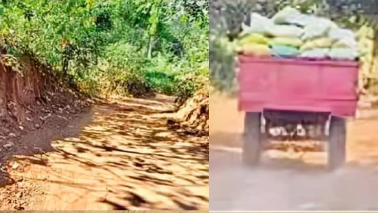 बिचौलियों का कारनामा! ओडिशा से धान तस्करी के लिए जंगल में बना दी 16 KM सड़क, 18 बार पार किया नाला, सोता रहा वन विभाग