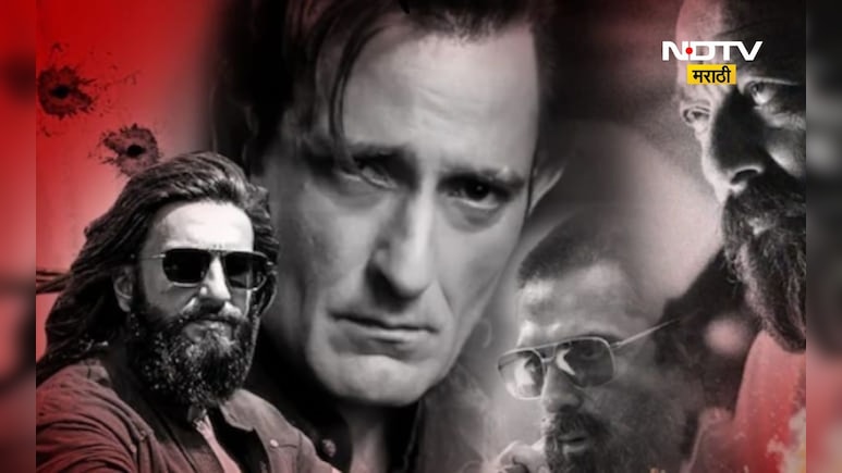 Dhurandhar: 'धुरंधर'चा पाकिस्तानने घेतला धसका! बॉलिवूडला प्रत्युत्तर देण्यासाठी उचललं मोठं पाऊल