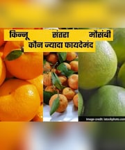 संतरा, मौसंबी या किन्नू, सर्दियों में किसे खाने से मिलेगा ज्यादा विटामिन सी, जानें इसके फायदे