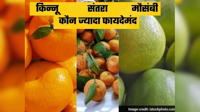 संतरा, मौसंबी या किन्नू, सर्दियों में किसे खाने से मिलेगा ज्यादा विटामिन सी, जानें इसके फायदे