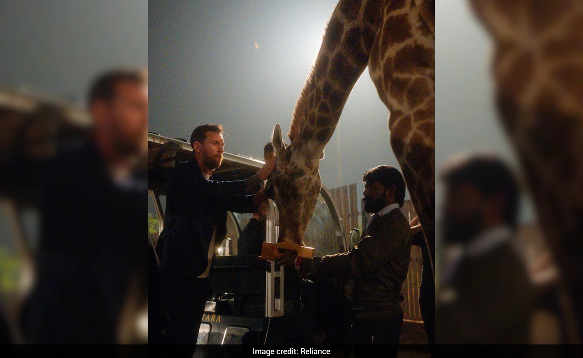 Latest and Breaking News on NDTV