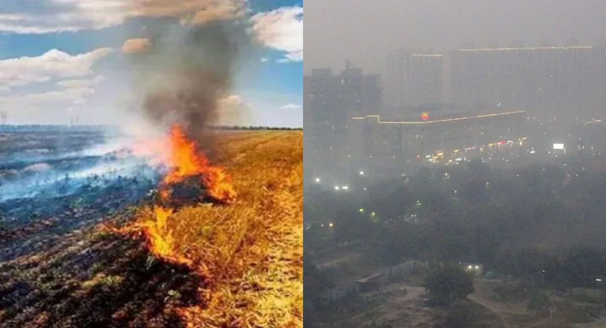 पराली जलाने की घटनाएं रुकने के बाद भी दिल्ली में क्यों बढ़ जाता है प्रदूषण? जान लें इसकी वजह