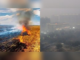 पराली जलाने की घटनाएं रुकने के बाद भी दिल्ली में क्यों बढ़ जाता है प्रदूषण? जान लें इसकी वजह