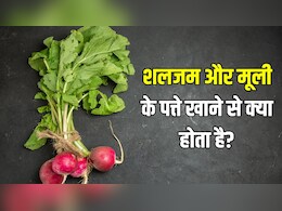 क्या शलजम और मूली के पत्ते खा सकते हैं? डाइटिशियन ने बताया मूली-शलजम के पत्ते खाने से क्या होता है